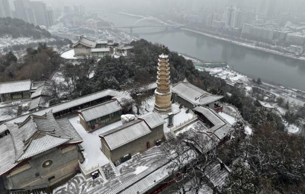 诗意中国丨白雪却嫌春色晚，故穿庭树作飞花