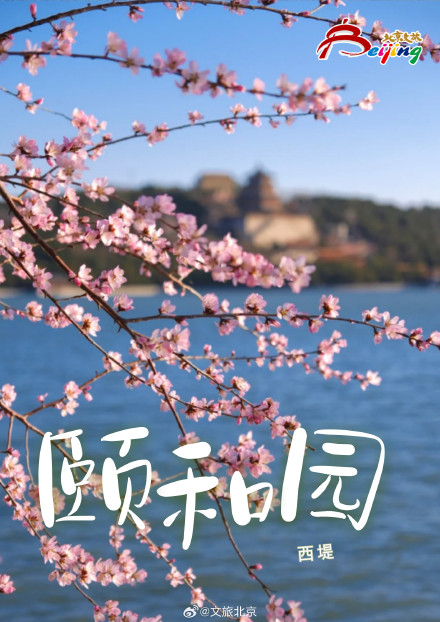 已经开始期待北京春天的樱花了