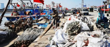 2024天津首网皮皮虾要来了