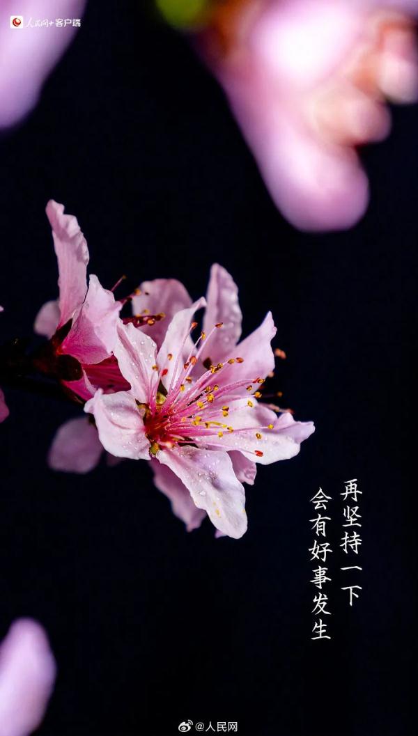 今天有点儿特别,四年一次! 今天有点儿特别,四年一次!