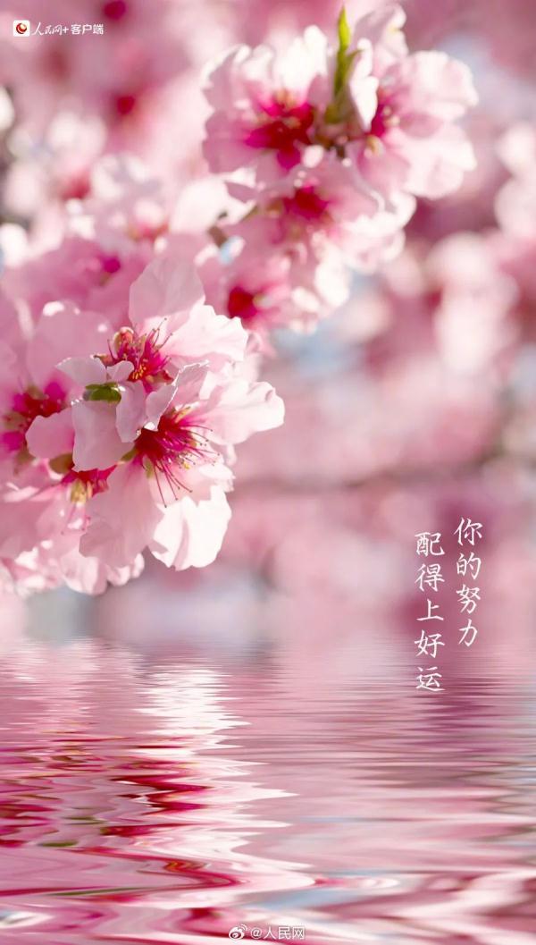 今天有点儿特别,四年一次! 今天有点儿特别,四年一次!