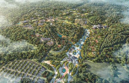 北京房山大熊猫基地明年开园 50只大熊猫将落户北京 北京房山大熊猫基地明年开园 50只大熊猫将落户北京