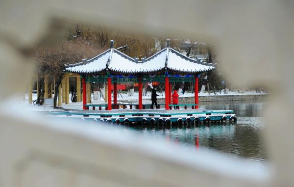 诗意中国丨白雪却嫌春色晚，故穿庭树作飞花