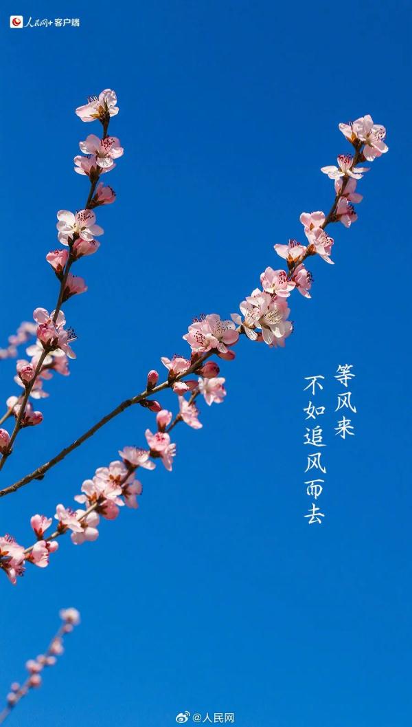 今天有点儿特别,四年一次! 今天有点儿特别,四年一次!