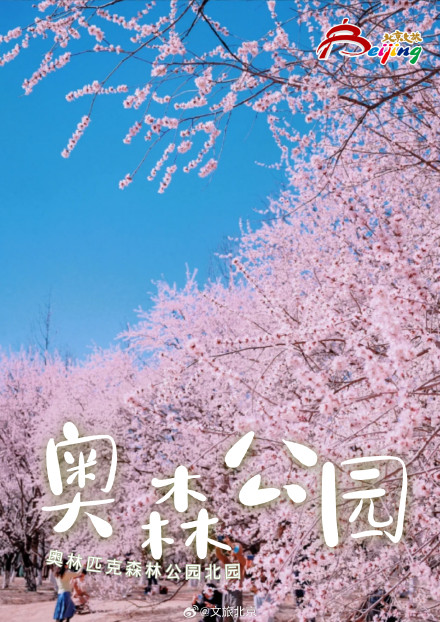 已经开始期待北京春天的樱花了