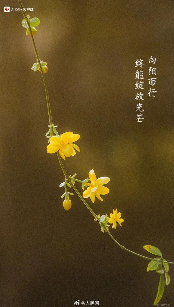 今天有点儿特别,四年一次! 今天有点儿特别,四年一次!