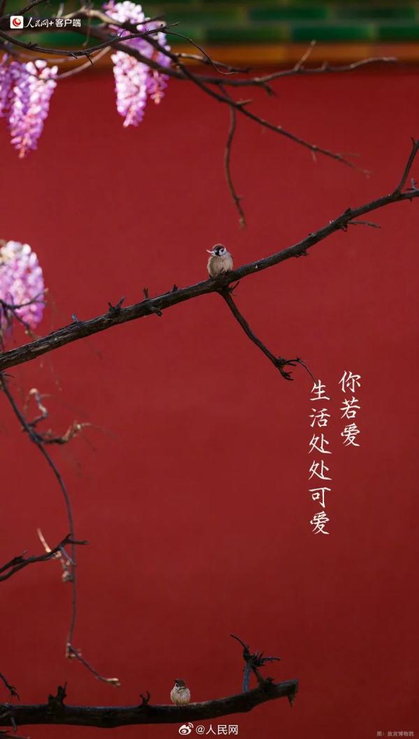 今天有点儿特别,四年一次! 今天有点儿特别,四年一次!