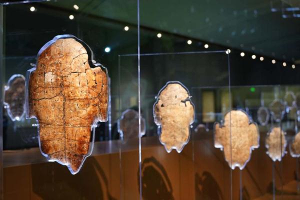 在殷墟博物馆,寻找“王子日记”的正确打开方式 在殷墟博物馆,寻找“王子日记”的正确打开方式