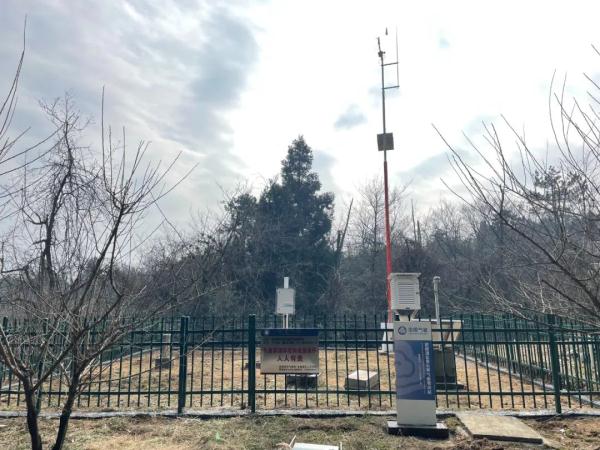 韩国游客暴增！湖南张家界，凭什么成为“顶流”？