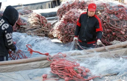 2024天津首网皮皮虾要来了