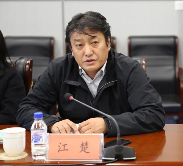 江楚，主动投案