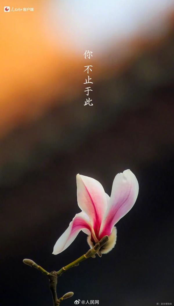 今天有点儿特别,四年一次! 今天有点儿特别,四年一次!