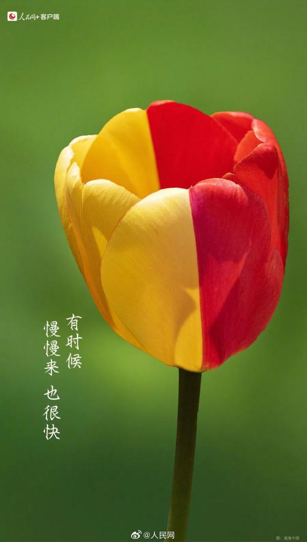 今天有点儿特别,四年一次! 今天有点儿特别,四年一次!