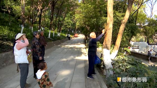 500多万人围观!昆“夹子音”大爹把野生松鼠喂成“宠物”,火了! 500多万人围观!昆“夹子音”大爹把野生松鼠喂成“宠物”,火了!