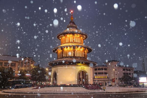 诗意中国丨白雪却嫌春色晚，故穿庭树作飞花