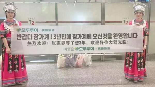 韩国游客暴增！湖南张家界，凭什么成为“顶流”？
