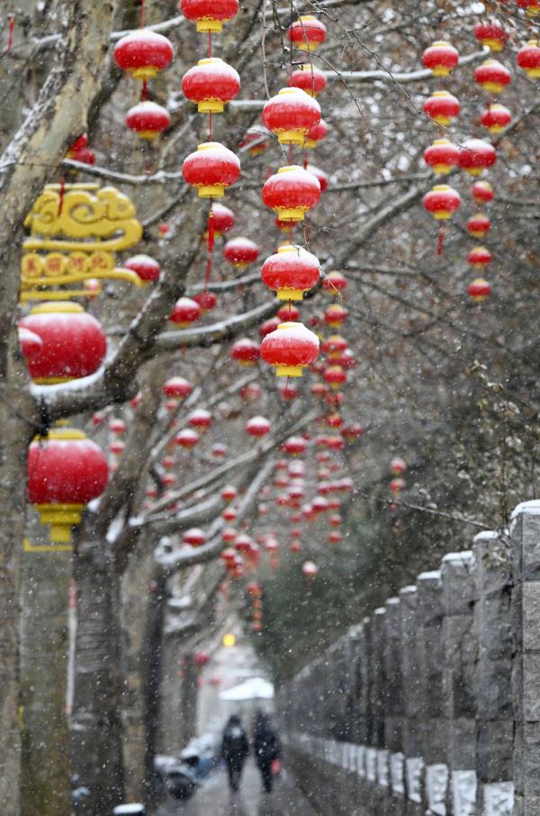 诗意中国丨白雪却嫌春色晚，故穿庭树作飞花