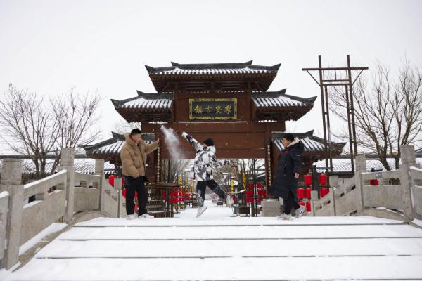 诗意中国丨白雪却嫌春色晚，故穿庭树作飞花