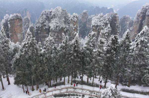 诗意中国丨白雪却嫌春色晚，故穿庭树作飞花