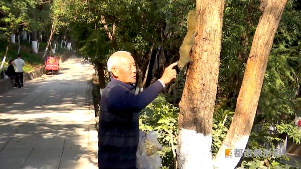 500多万人围观!昆“夹子音”大爹把野生松鼠喂成“宠物”,火了! 500多万人围观!昆“夹子音”大爹把野生松鼠喂成“宠物”,火了!