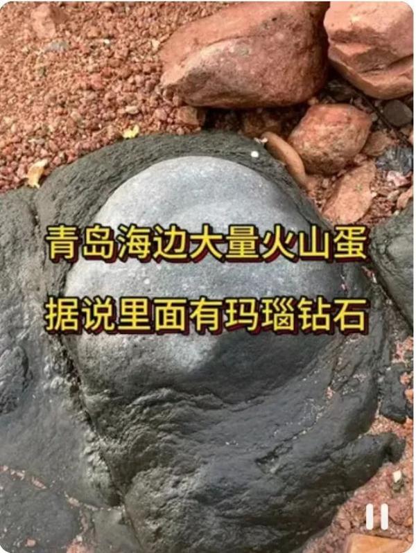 青岛海边大量火山蛋,里面藏着钻石?有人提着锤子去了……专家发声 青岛海边大量火山蛋,里面藏着钻石?有人提着锤子去了……专家发声