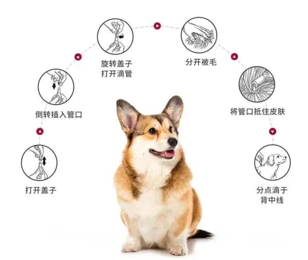 家有“哈基米”注意!7岁娃眼里长虫,只因这个习惯… 家有“哈基米”注意!7岁娃眼里长虫,只因这个习惯…