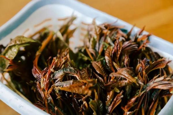 山西人的碗里,藏着多少草草花花叶叶根根? 山西人的碗里,藏着多少草草花花叶叶根根?