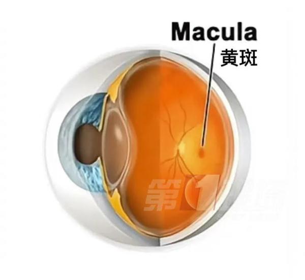 家有“哈基米”注意!7岁娃眼里长虫,只因这个习惯… 家有“哈基米”注意!7岁娃眼里长虫,只因这个习惯…