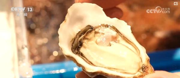 世界看两会 | 舌尖上的“中国式现代化”折射中国高水平对外开放