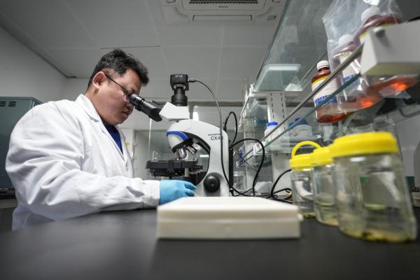 海豹医生守“月子”