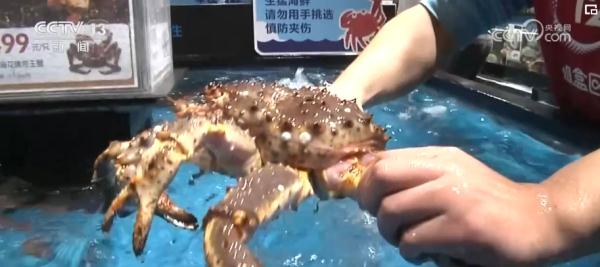 世界看两会 | 舌尖上的“中国式现代化”折射中国高水平对外开放