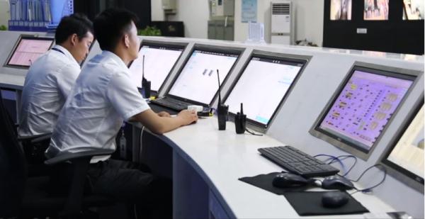 买假证上岗？女子被拘留5日