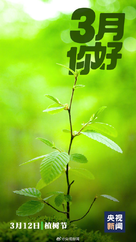 3月第一天的打开方式 3月第一天的打开方式