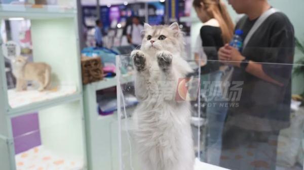 家有“哈基米”注意!7岁娃眼里长虫,只因这个习惯… 家有“哈基米”注意!7岁娃眼里长虫,只因这个习惯…