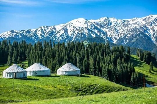 新车即将上线！“熊猫专列”全年开行计划来啦