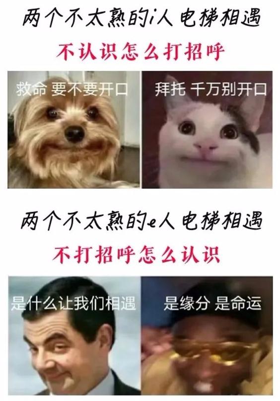 冰箱里的隔夜披萨，竟让她得上脑膜炎！这个杀手你认识它吗？