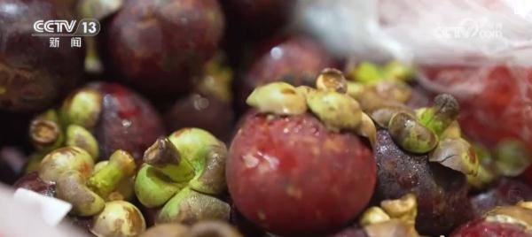 世界看两会 | 舌尖上的“中国式现代化”折射中国高水平对外开放