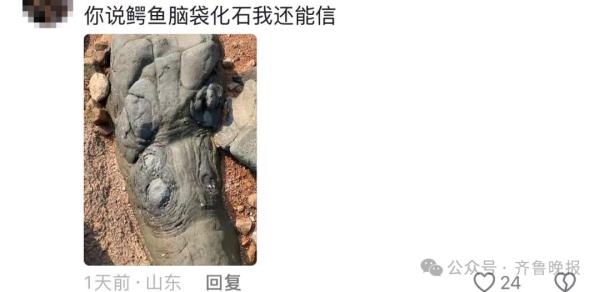 青岛海边大量火山蛋,里面藏着钻石?有人提着锤子去了……专家发声 青岛海边大量火山蛋,里面藏着钻石?有人提着锤子去了……专家发声