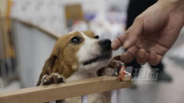 家有“哈基米”注意!7岁娃眼里长虫,只因这个习惯… 家有“哈基米”注意!7岁娃眼里长虫,只因这个习惯…