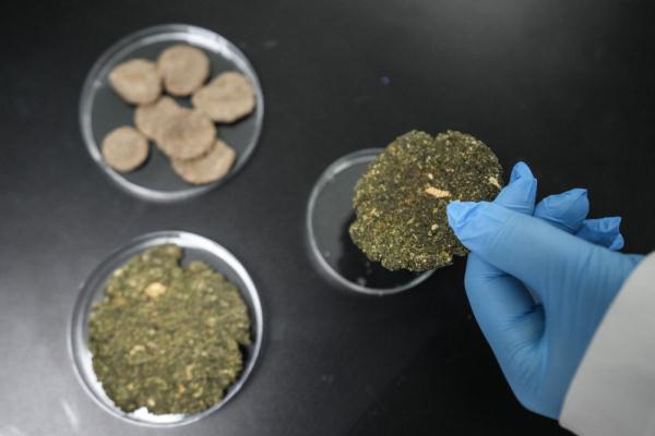 海豹医生守“月子”