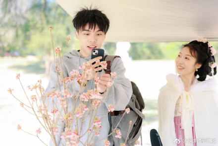 “最美春天”花期已至!梧桐山正开启广东最浪漫赏花季 “最美春天”花期已至!梧桐山正开启广东最浪漫赏花季