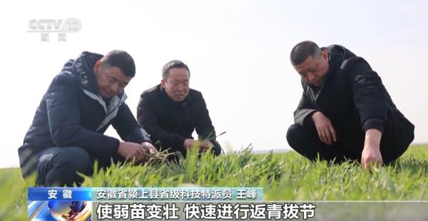 春耕备肥旺季来临 各地种子、化肥生产企业正火力全开