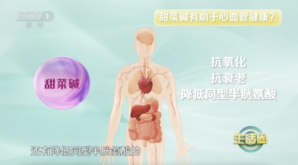 它被称为“生命之根”，遇到抓紧吃！帮你抗衰老、预防心血管疾病