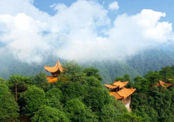 免费！半价！江西多家景区宣布