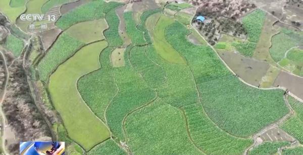 春耕备肥旺季来临 各地种子、化肥生产企业正火力全开