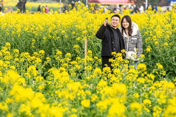 重庆璧山：油菜花开扮靓乡村