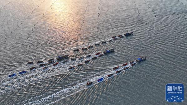 山东荣成:“海上春耕”忙 山东荣成:“海上春耕”忙