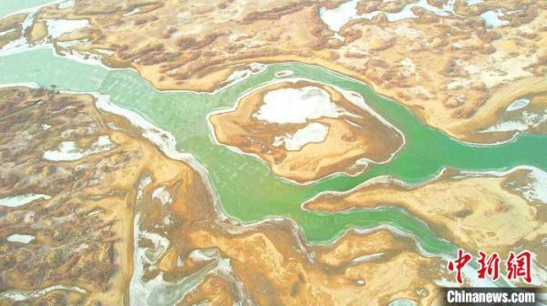 春回大地候鸟归 新疆塔里木河春色旖旎惹人醉