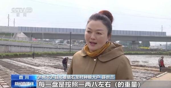 为粮食丰收打基础 各地积极抢抓农时、忙春管、备春耕