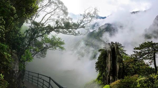 免费！半价！江西多家景区宣布